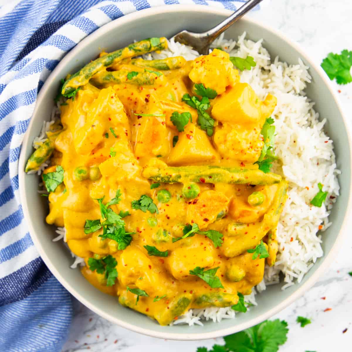 Vegetable Korma